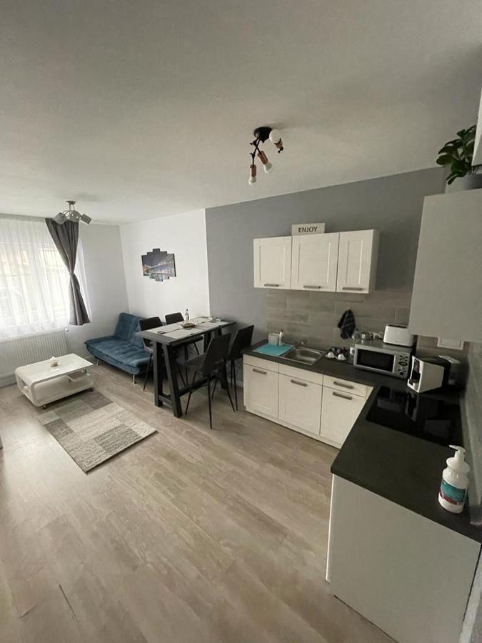Phoenix Luxury Apartment Oradea Dış mekan fotoğraf